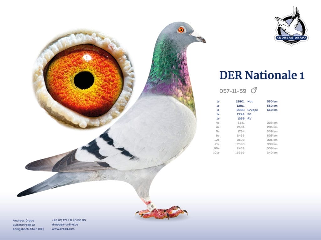 DER Nationale 1